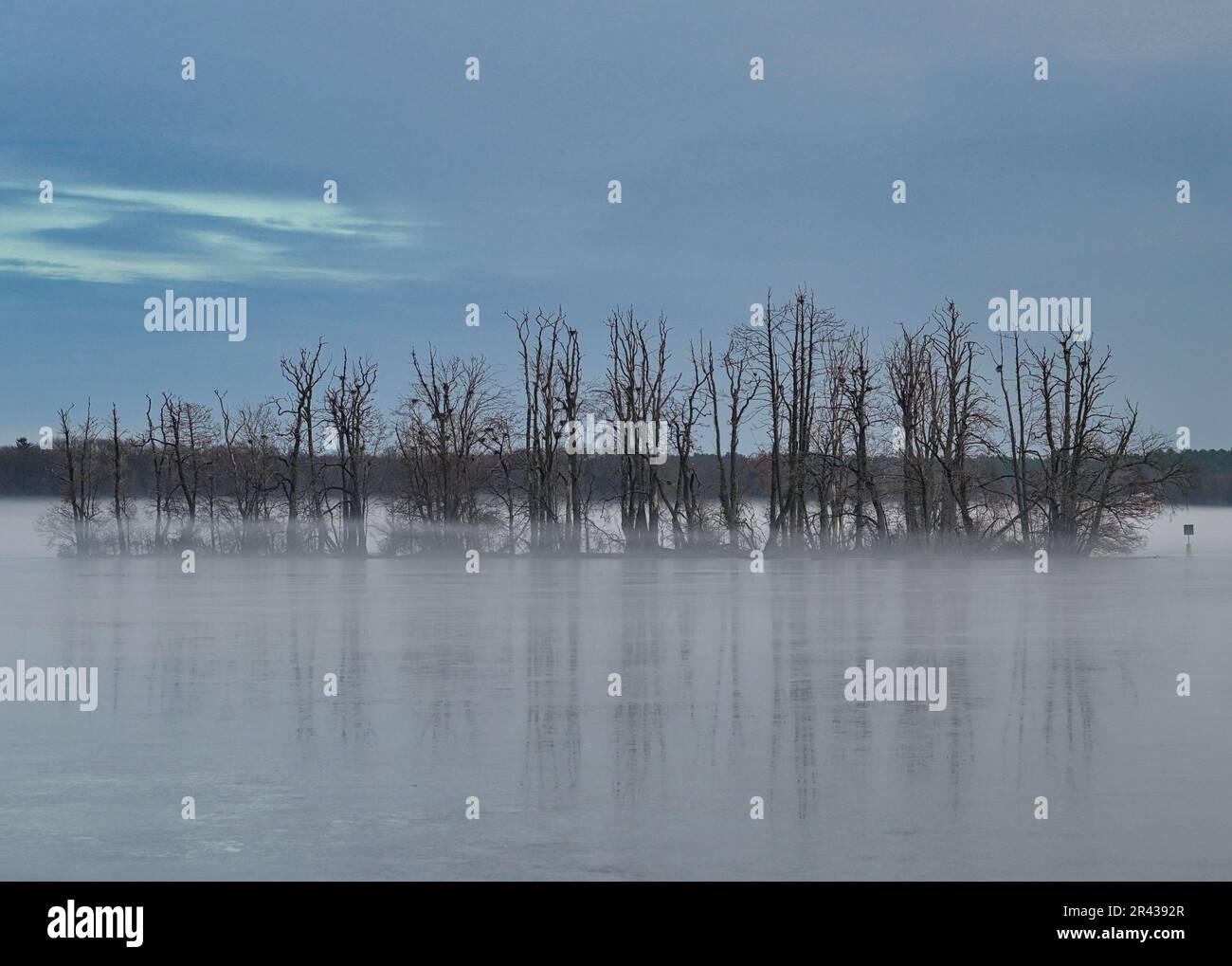 L'île de Kleiner Werl dans le Scharmutzelsee en brouillard Banque D'Images