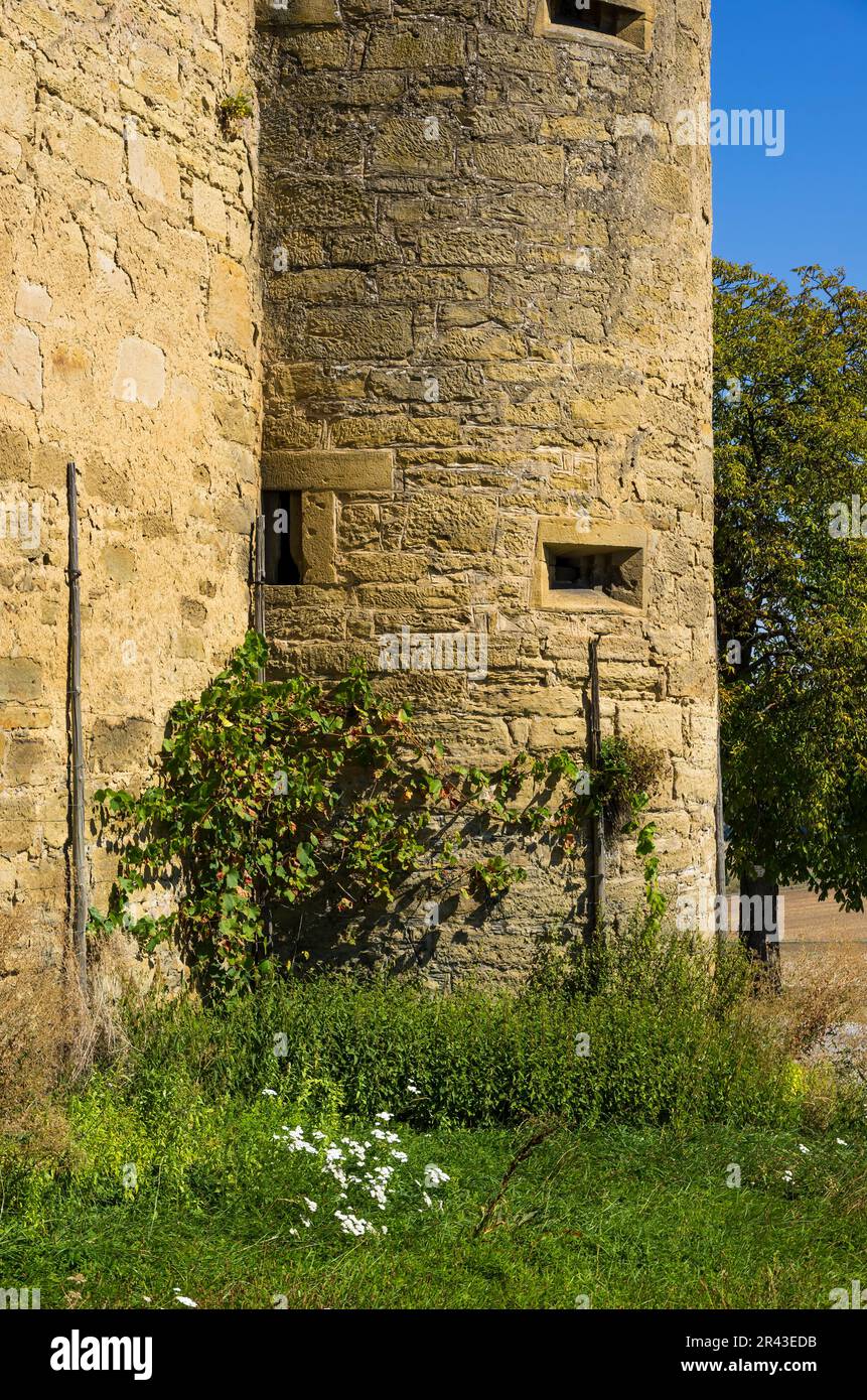 Vue extérieure du château de Ravensburg à Kraichgau près de Sulzfeld, région de Heilbronn, Bade-Wurtemberg, Allemagne, tour fortifiée et mur. Banque D'Images
