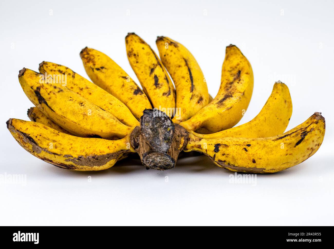Banane. Bouquet de bananes mûres isolées sur fond blanc Banque D'Images