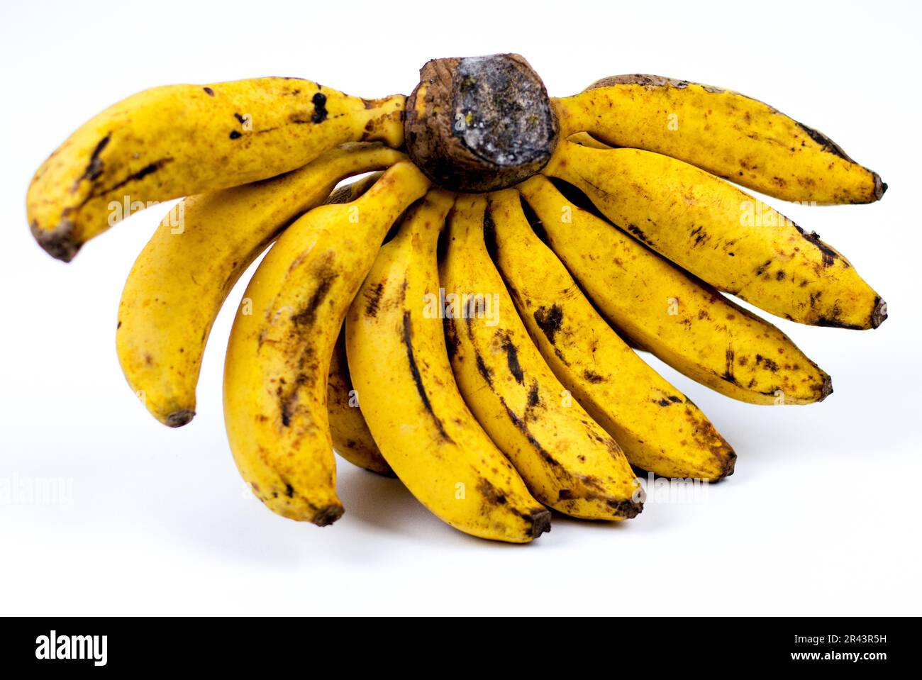 Banane. Bouquet de bananes mûres isolées sur fond blanc Banque D'Images