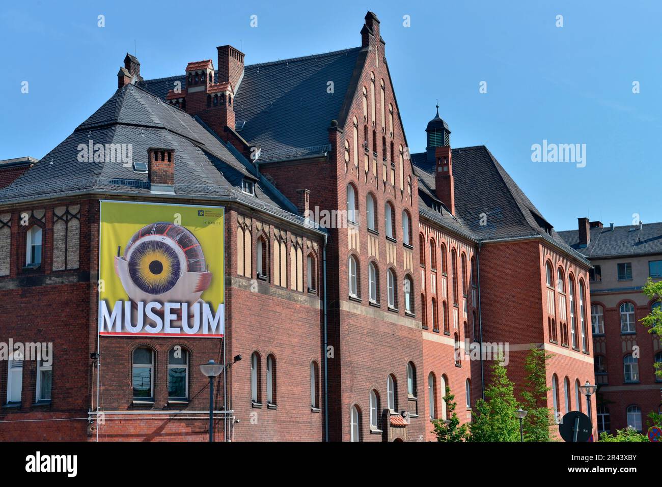 Musée d'Histoire médicale, Charite, Virchowweg, Mitte, Berlin, Allemagne Banque D'Images