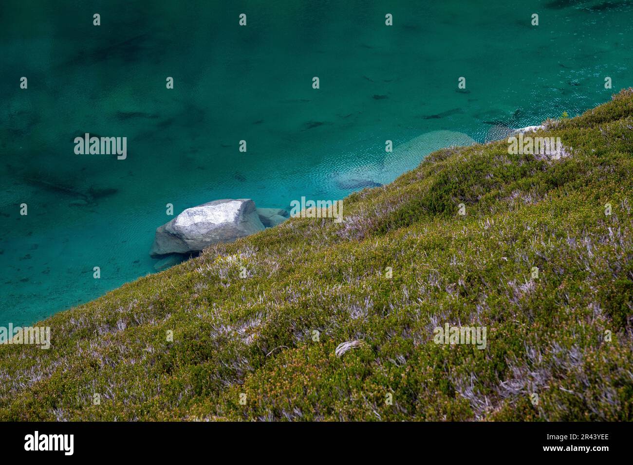 Prairie herbacée de la couleur bleu vif d'un lac alpin au Canada. Banque D'Images