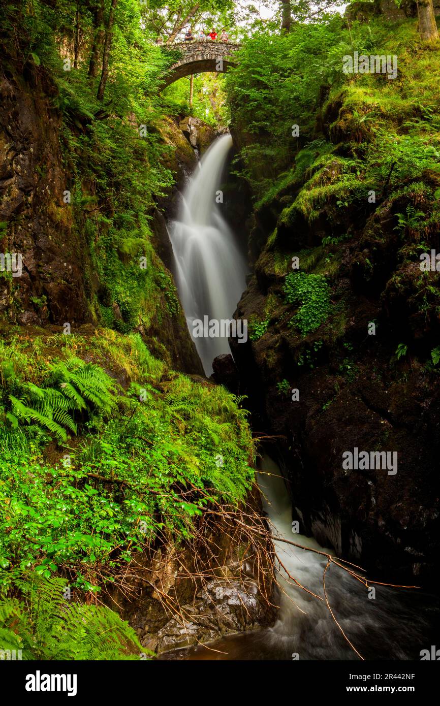 Waterfall, Aira Force, Lake District NP, Angleterre, Royaume-Uni Banque D'Images