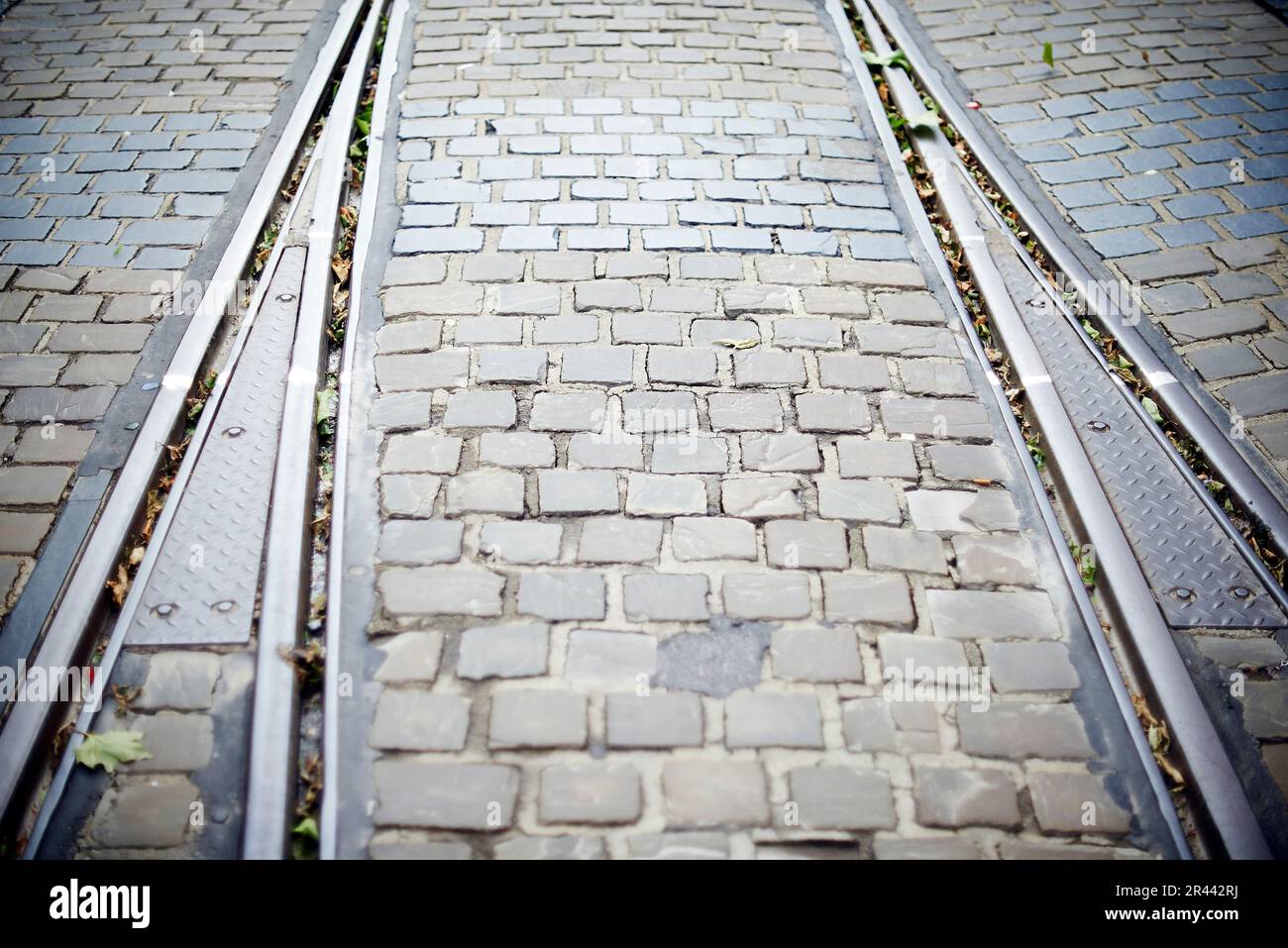 Pierres de galets sur la rue et une piste de tramway qui la traverse Banque D'Images