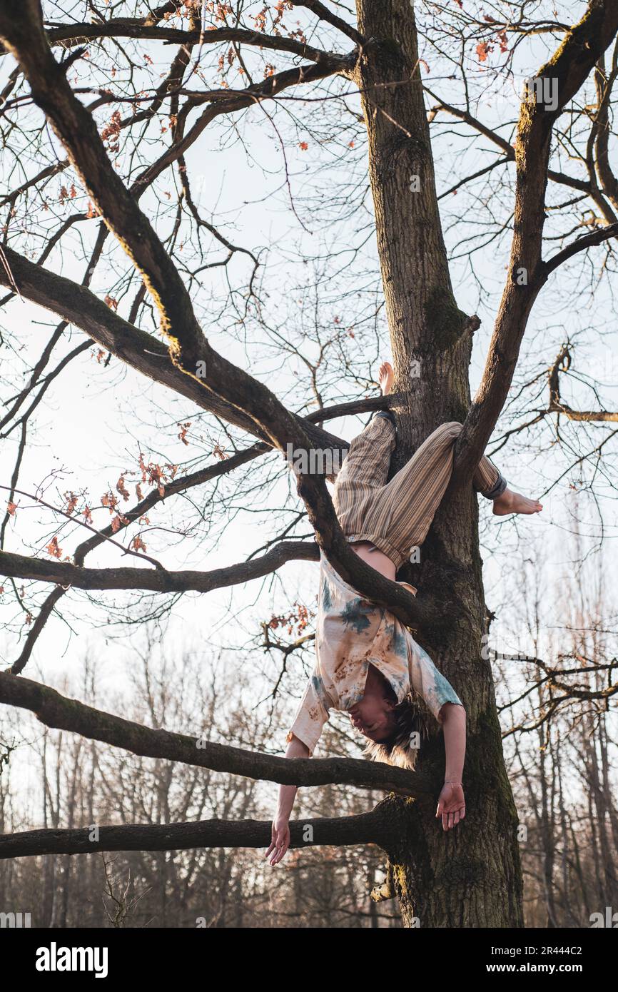 danseuse androgyne pend à l'envers des branches d'arbre Banque D'Images