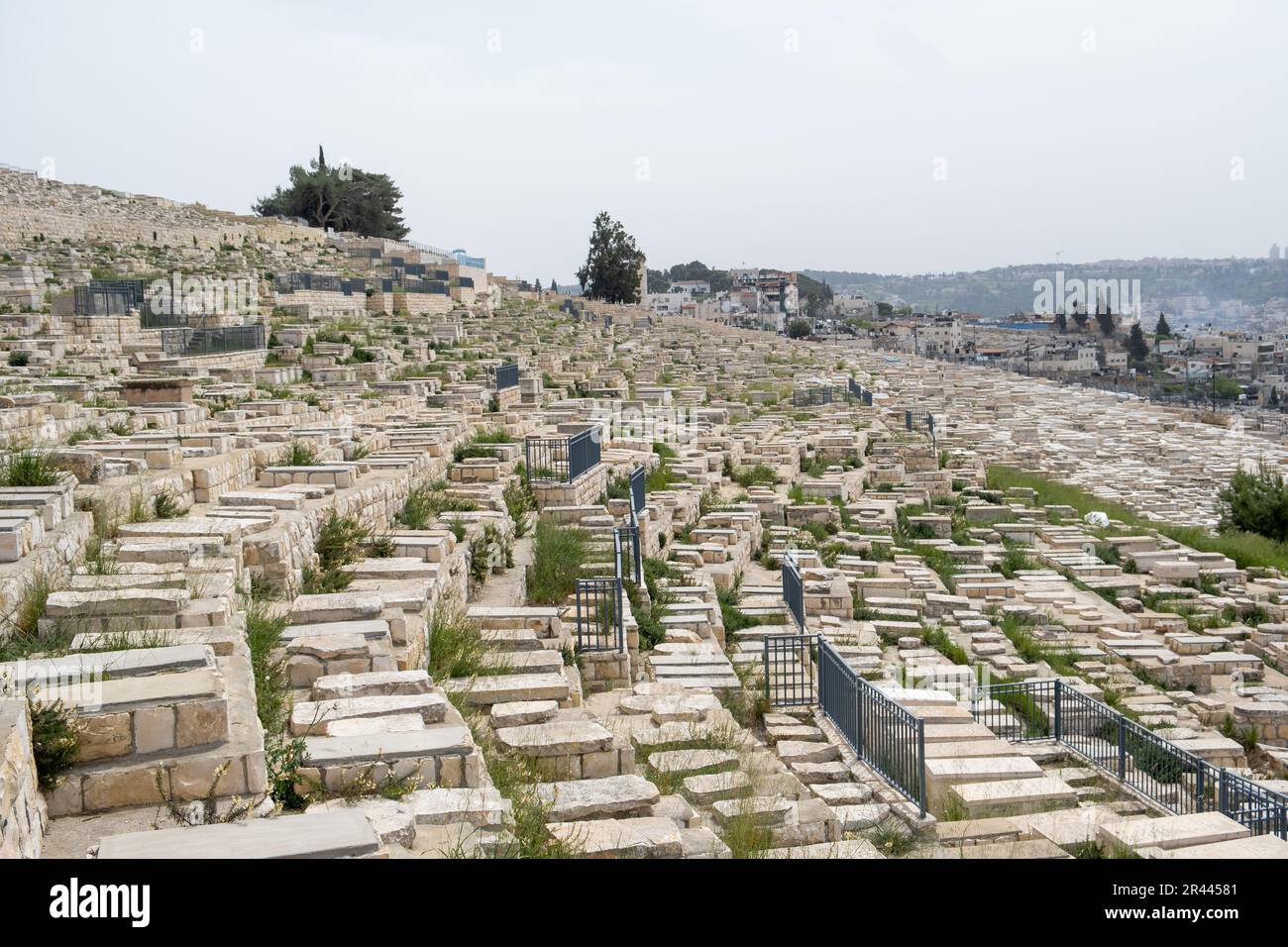 Vue sur le cimetière juif de Jérusalem Israël. Banque D'Images