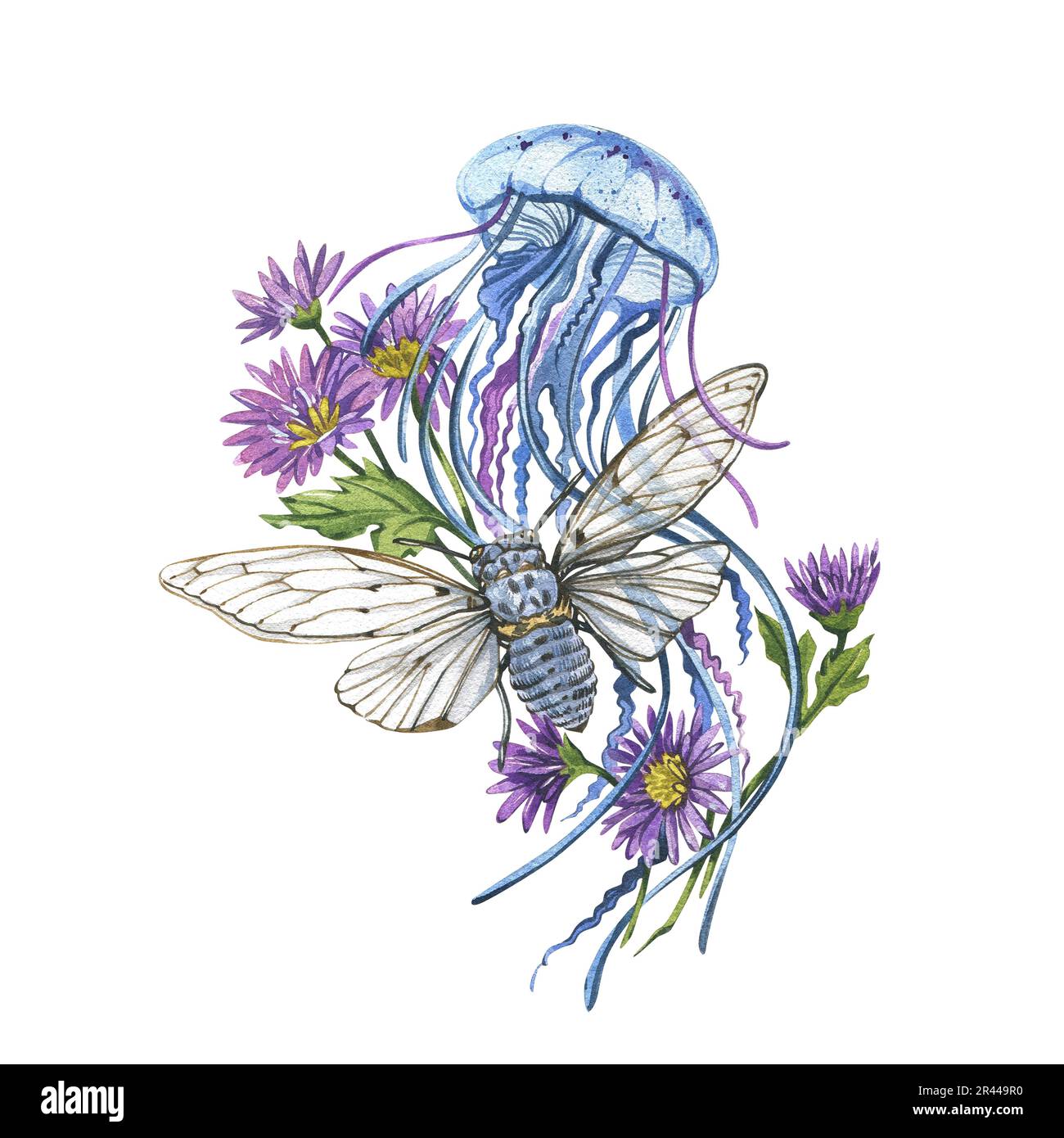 Méduses bleues, cicada et chrysanthème fleurs et feuilles violettes isolées sur fond blanc. Illustration d'esquisse filigranée dessinée à la main. L'art pour de Banque D'Images