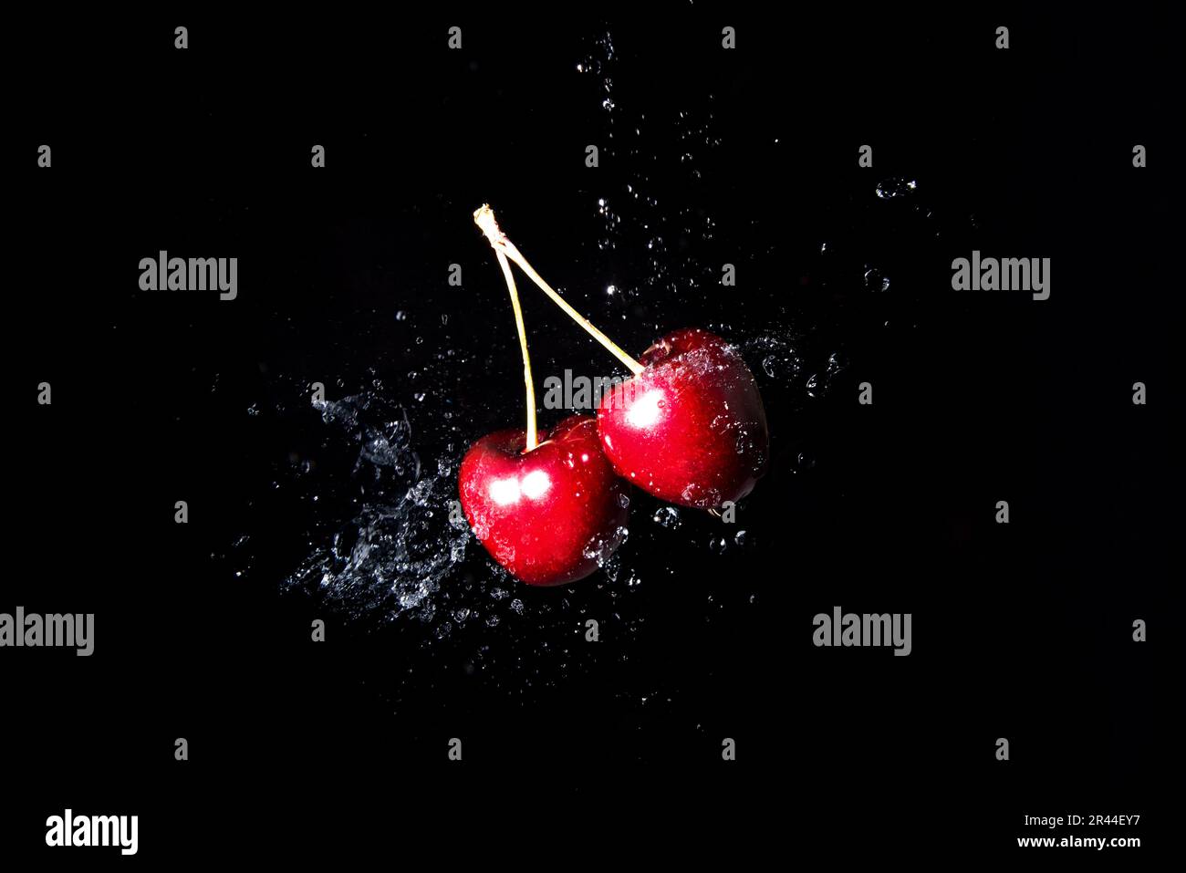 Cerises rouges rafraîchissantes, éclaboulées d'eau douce sur fond noir. Fruits rouges sains riches en vitamines, parfaits pour une alimentation équilibrée Banque D'Images
