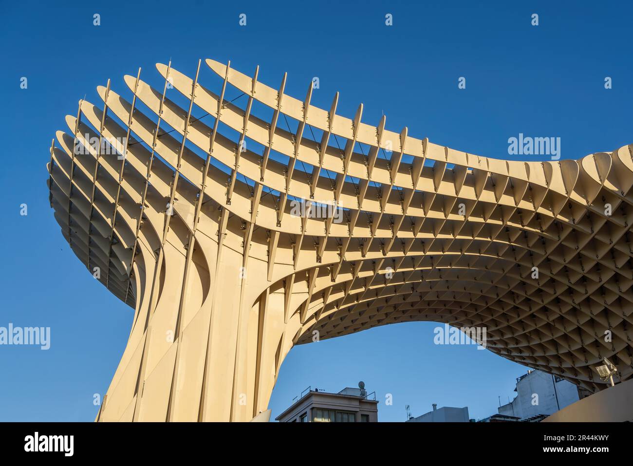 Las Setas de Sevilla - Séville, Andalousie, Espagne Banque D'Images