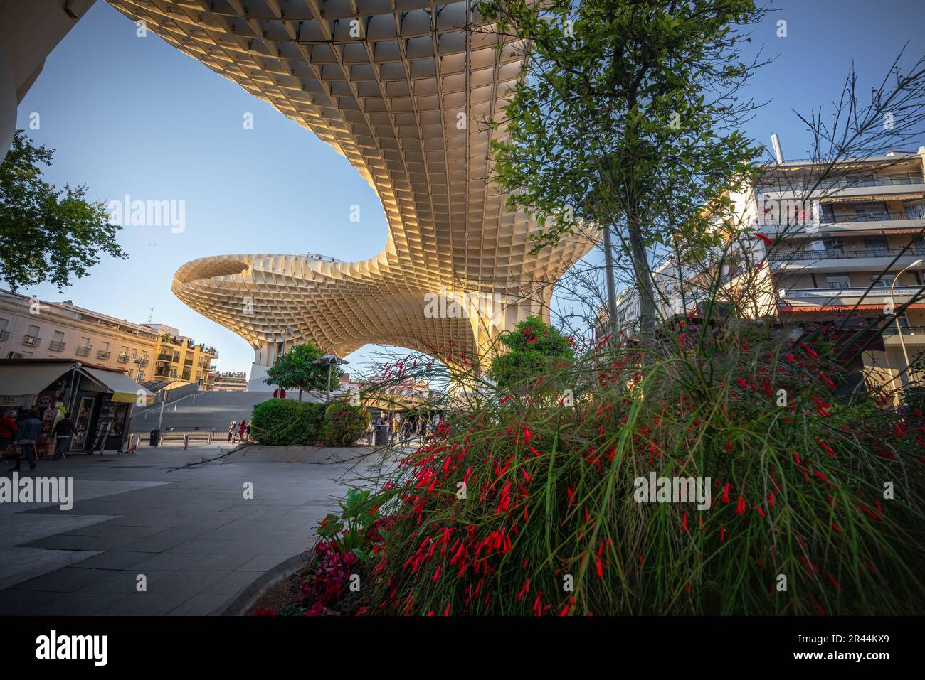 Las Setas de Sevilla à la place Plaza de la Encarnacion - Séville, Andalousie, Espagne Banque D'Images