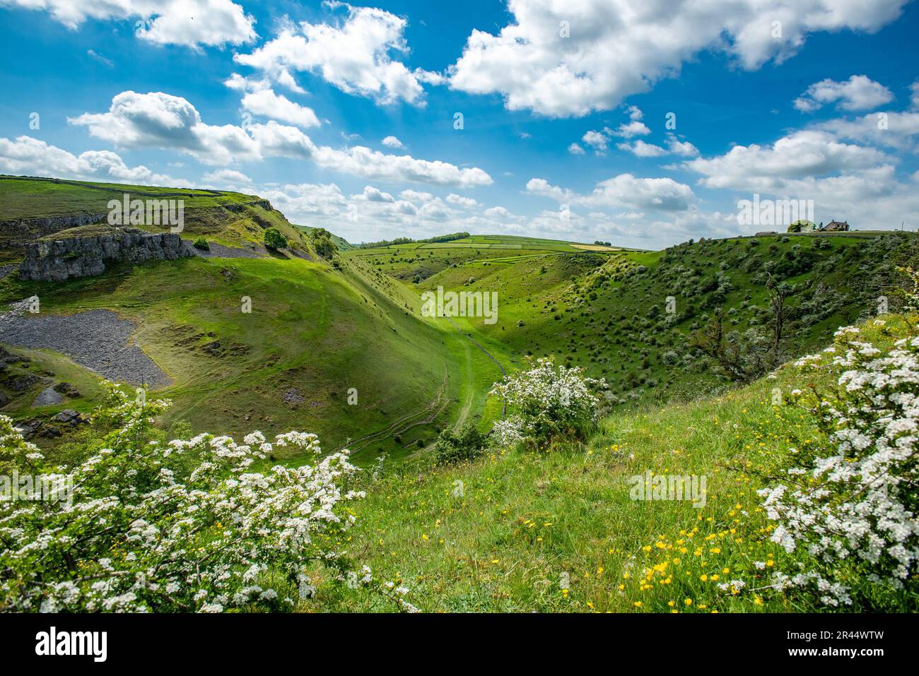Réserve naturelle nationale Cressbrook Dale, Derbyshire. Banque D'Images