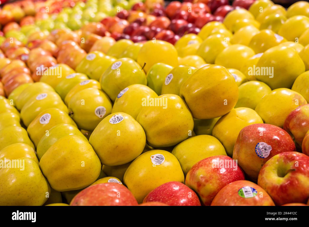 Variété colorée de pommes à Publix Food & Pharmacy à Clermont, Floride. (ÉTATS-UNIS) Banque D'Images