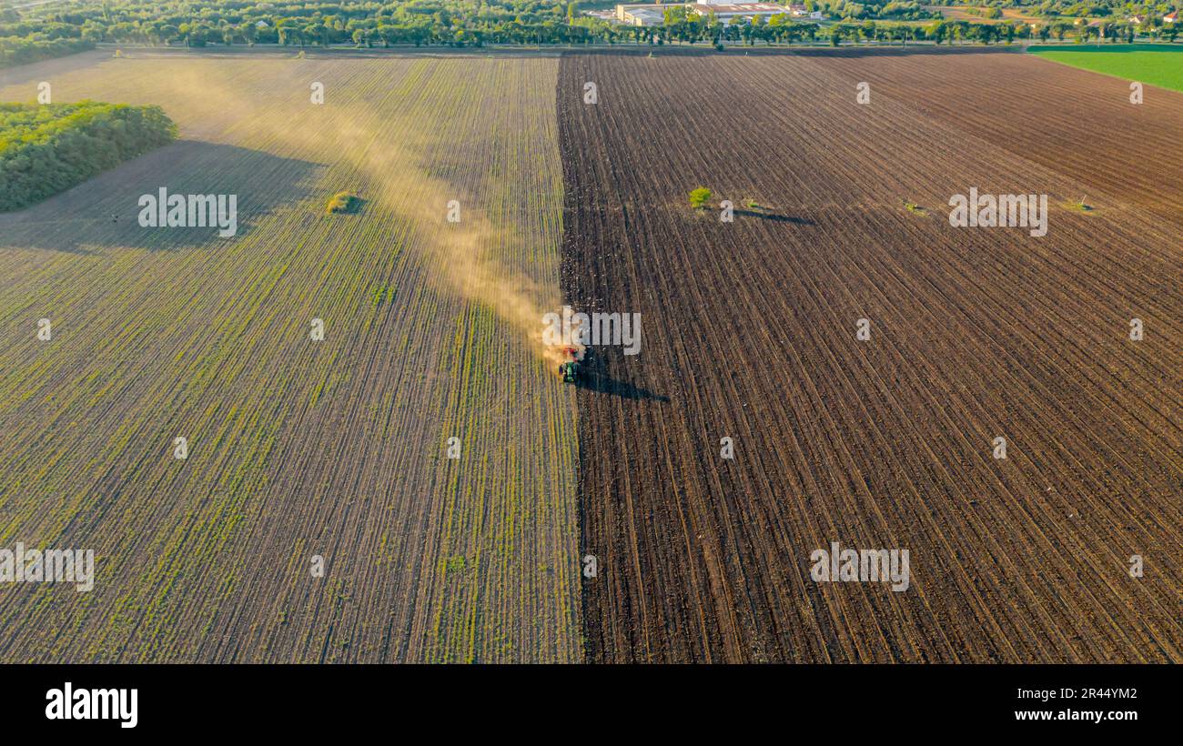 Vue ci-dessus, herse à disque de traction du tracteur, hermage des terres agricoles, préparation du sol pour la saison suivante, nouvelle récolte. Troupeau d'oiseaux blancs affamés suivant, voler autour Banque D'Images