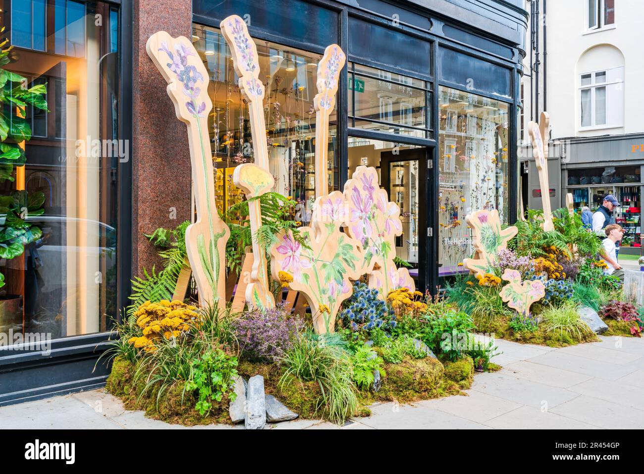 LONDRES, Royaume-Uni - 24 MAI 2023 : un spectacle floral spectaculaire pour le spectacle floral annuel de Chelsea in Bloom transforme les rues de Chelsea Banque D'Images