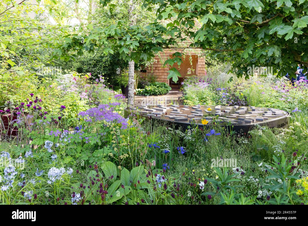 Chelsea Flower Show 2023, Horatio's Garden - jardin d'exposition et Best in Show; plantes, fleurs et personne, Chelsea London Banque D'Images