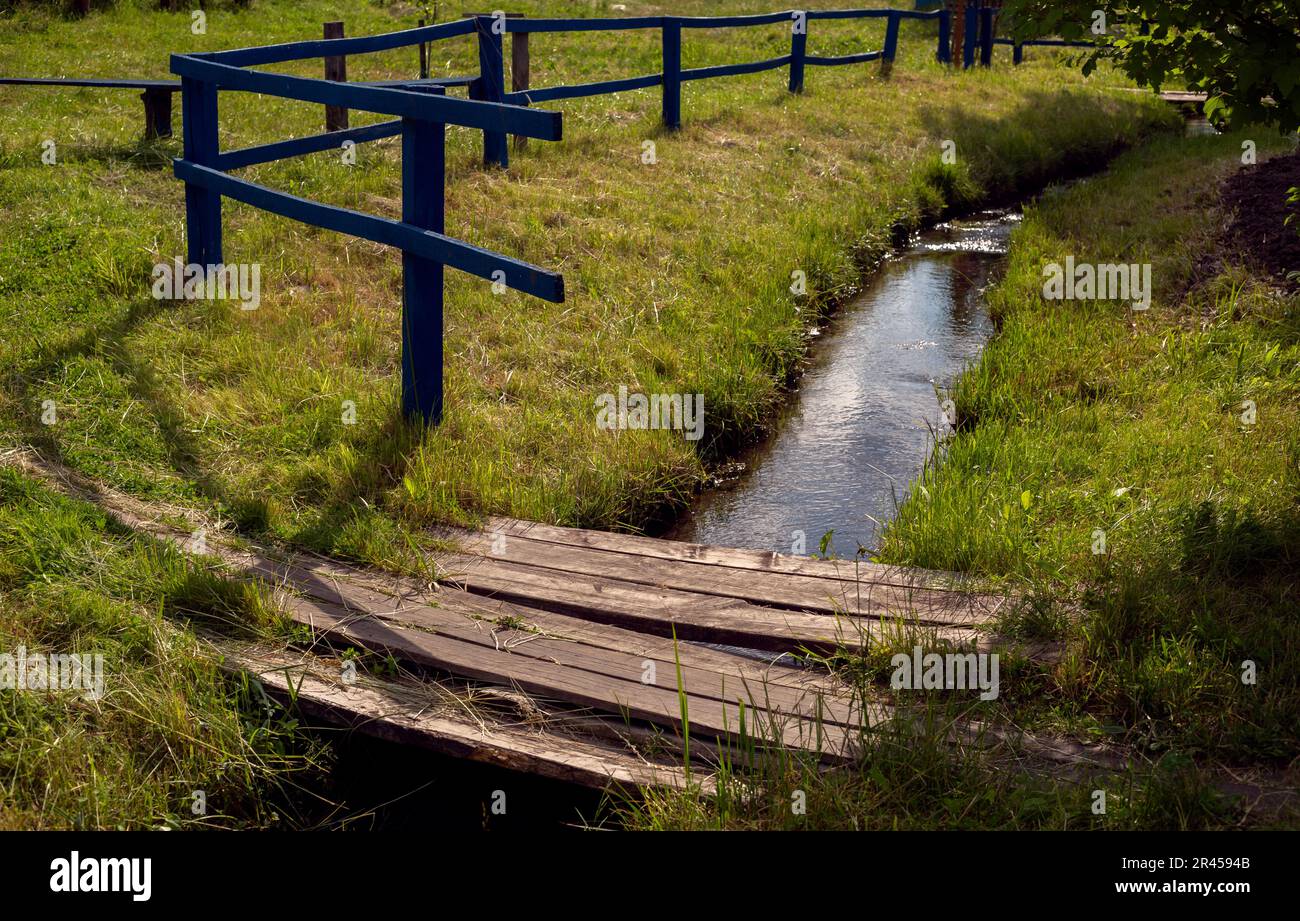 ruisseau à la campagne en été Banque D'Images