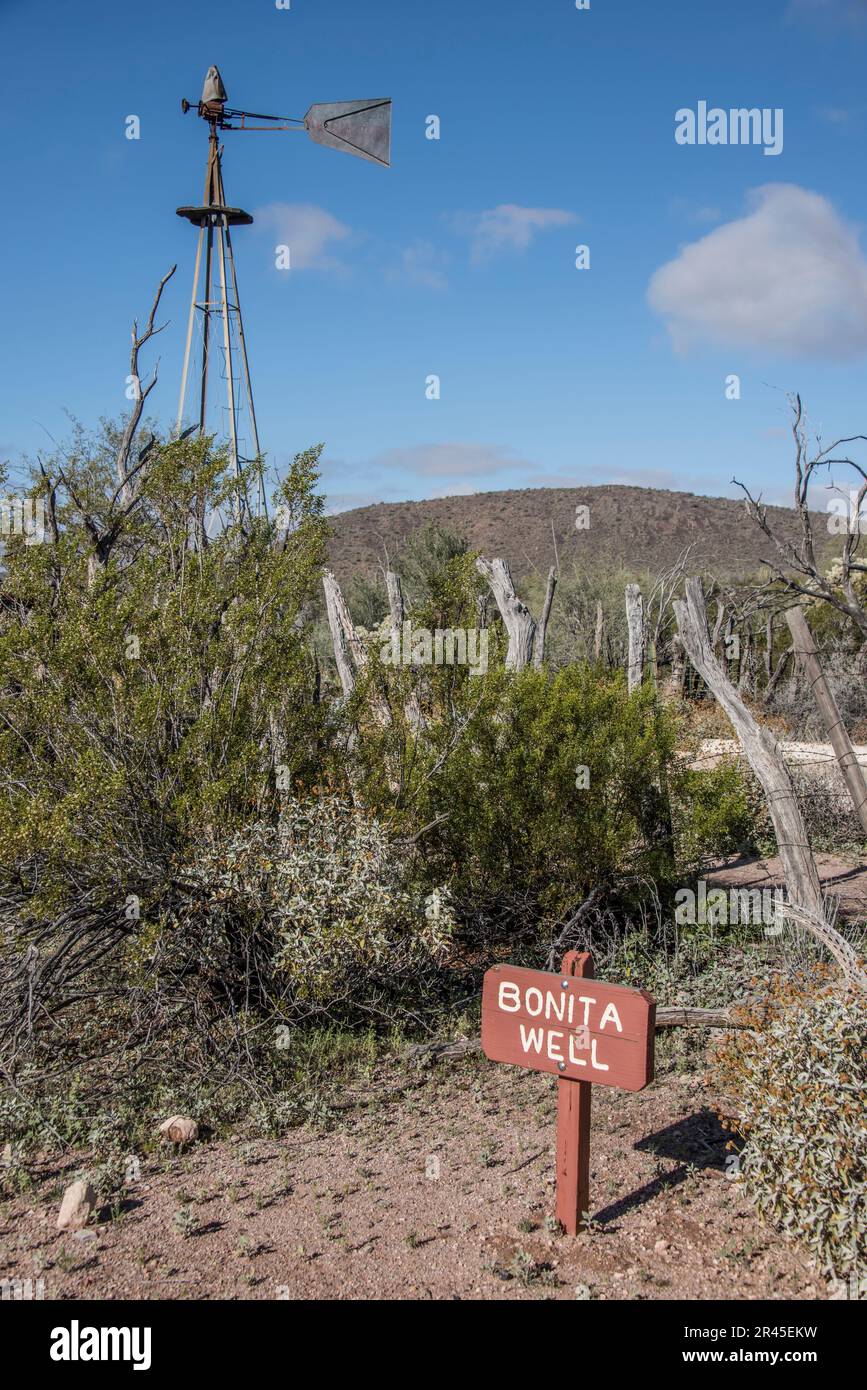 Bonita Well historique, une oasis historique dans le désert de Sonoran, Organ Pipe Cactus National Monument, Ajo, Lukeville, Arizona, Etats-Unis Banque D'Images