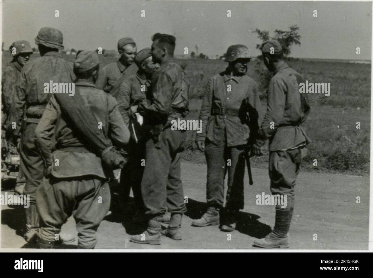 Augustin, Paul, SS photographe de la Leibstandarte Adolf Hitler. Événements documentés aux pays-Bas, en France (1940) et en Russie (1941-43). Prisonniers de guerre français, construction de ponts, équipage anti-char, équipe de mitrailleuses, convois de véhicules sur la route et dans les villes, forts belges, camp de prisonniers de guerre, scènes de destruction, activités post-combat et d'occupation, activités d'entraînement et sportives, Hitler Youth et Bund Deutscher Mädel (Ligue des filles allemandes) activités sportives et spectacles culturels, formations et cérémonies d'unités, hôpital de campagne, photos formelles individuelles et collectives, anti-avions légers Banque D'Images