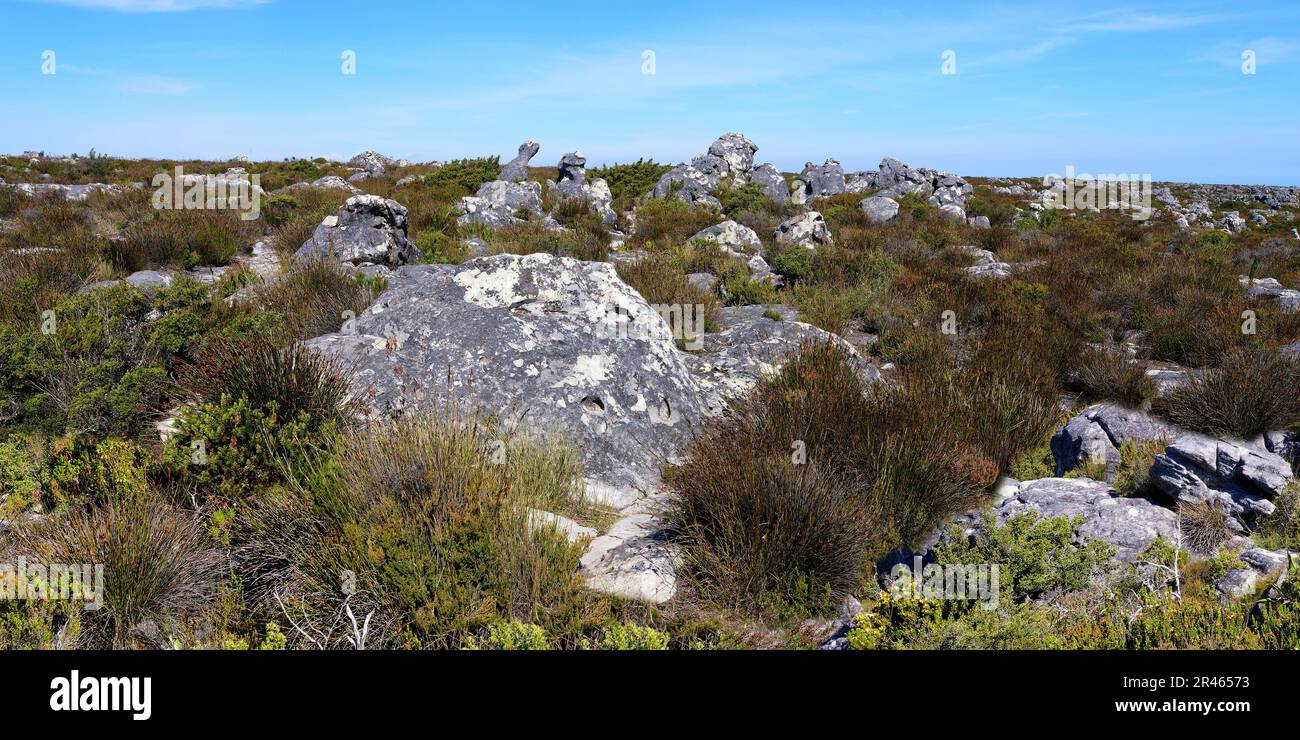 Formation de roches, Table Mountain TOP, le Cap, Afrique du Sud Banque D'Images