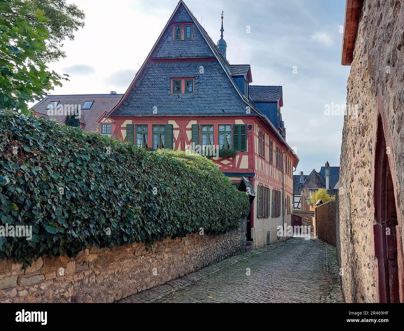Un superbe cliché de la ville historique d'Eltville, en Allemagne, située sur les rives du Rhin Banque D'Images