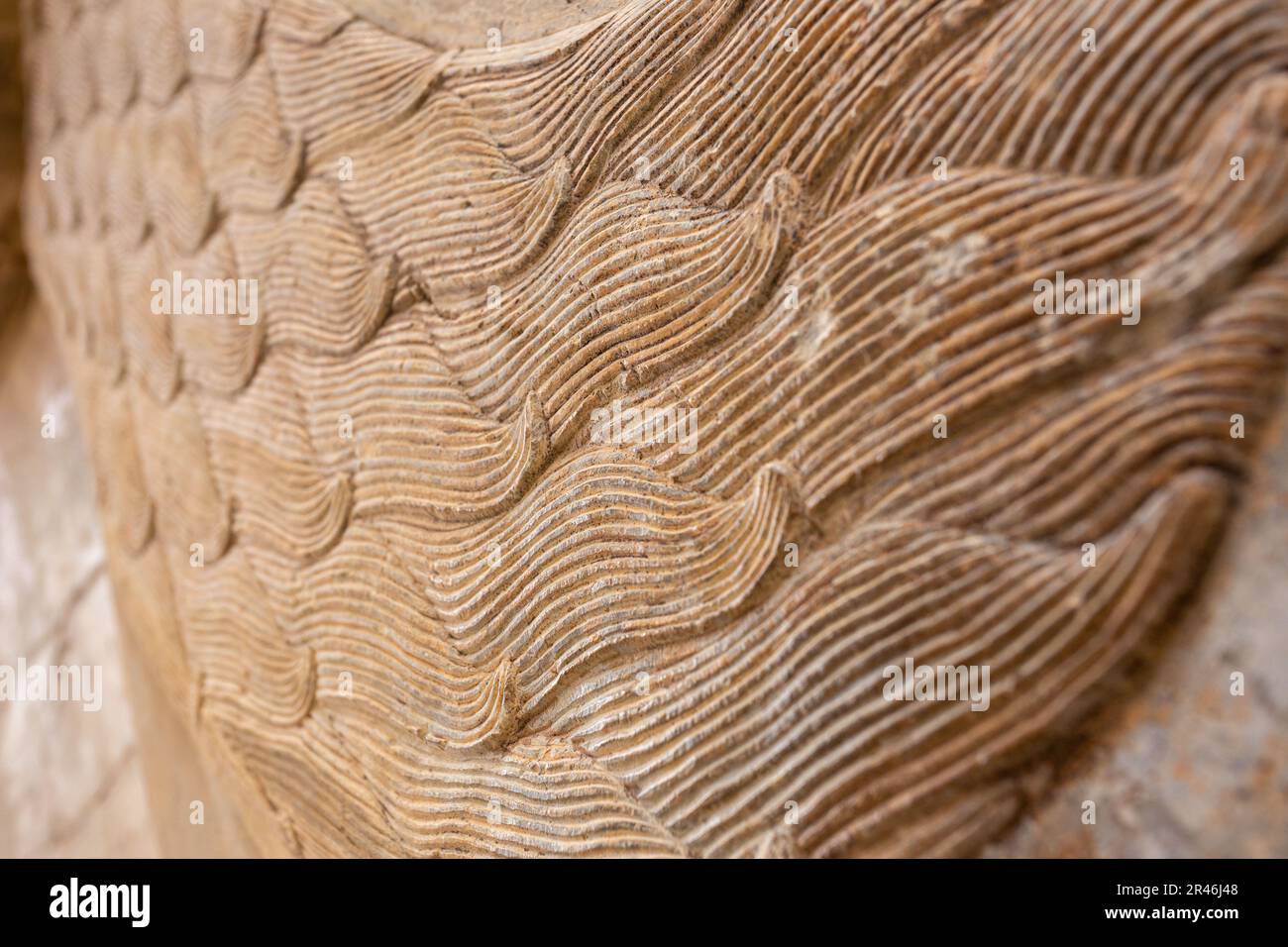 Gros plan d'un ancien mur décoratif avec des tourbillons complexes à Persepolis, en Iran Banque D'Images