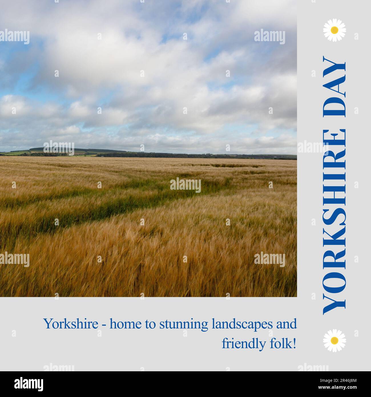 Composite de texte du yorkshire du jour et vue panoramique de paysage herbacé contre ciel nuageux Banque D'Images