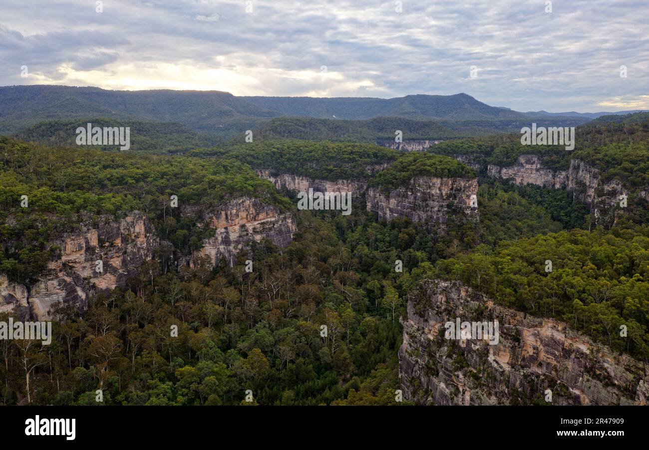 Parc national de Carnarvon situé dans la biorégion de la ceinture de Brigalow Sud dans la région de Maranoa, dans le centre du Queensland, en Australie, deux bassins sédimentaires, Banque D'Images