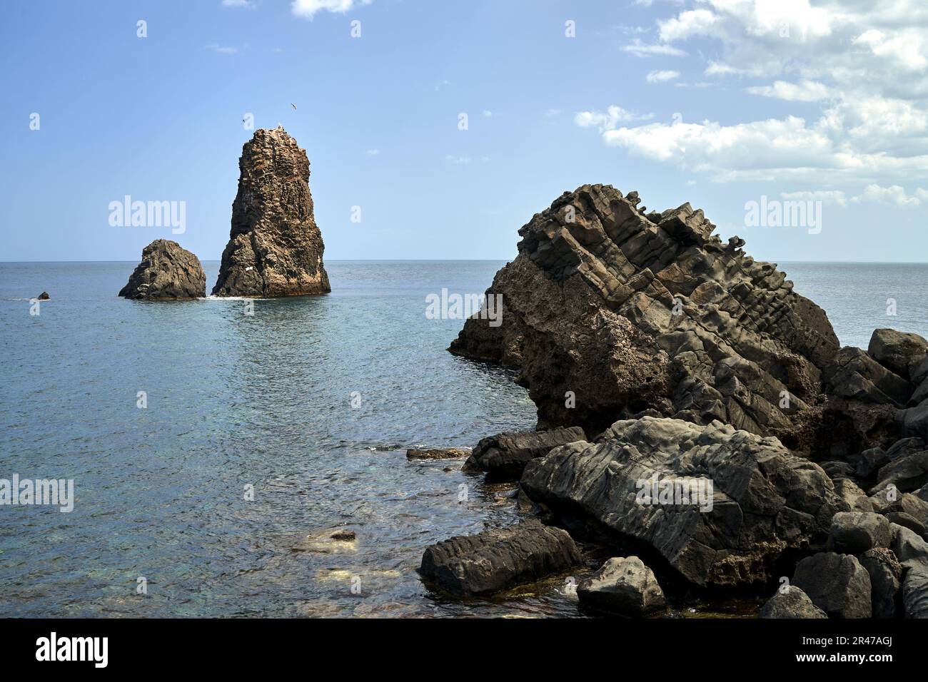 Îlots rocheux et oiseaux de mer sur la côte des Cyclops en Sicile, Italie Banque D'Images