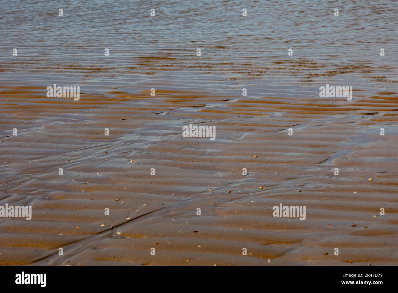 L'eau sur du sable ondulé sur une plage - texture, motif Banque D'Images