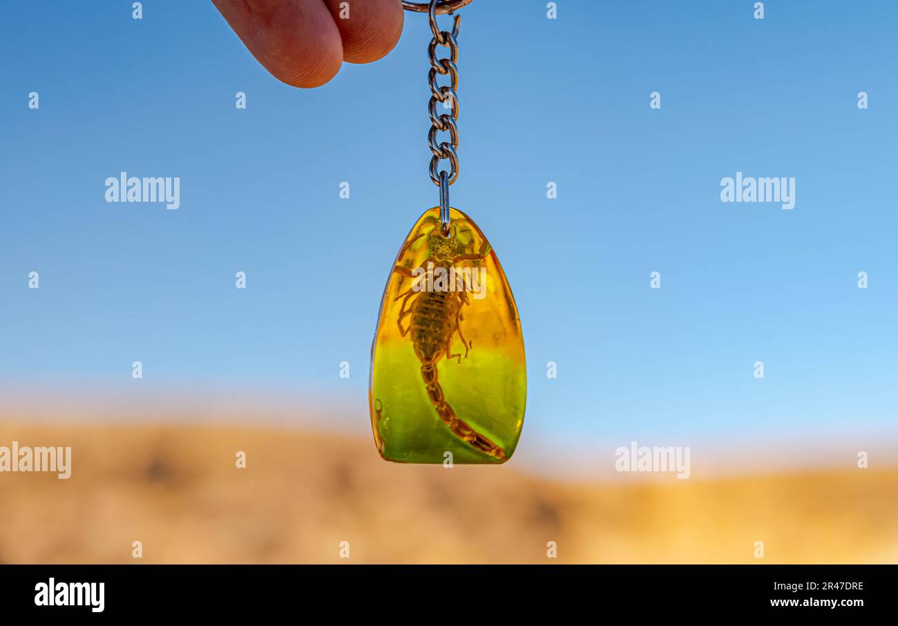 Scorpion mort animal enveloppé dans de la résine jaune or ambre porte-clés chaîne tenue par une main humaine macrophotographie sélectif foyer sur le premier plan. Banque D'Images