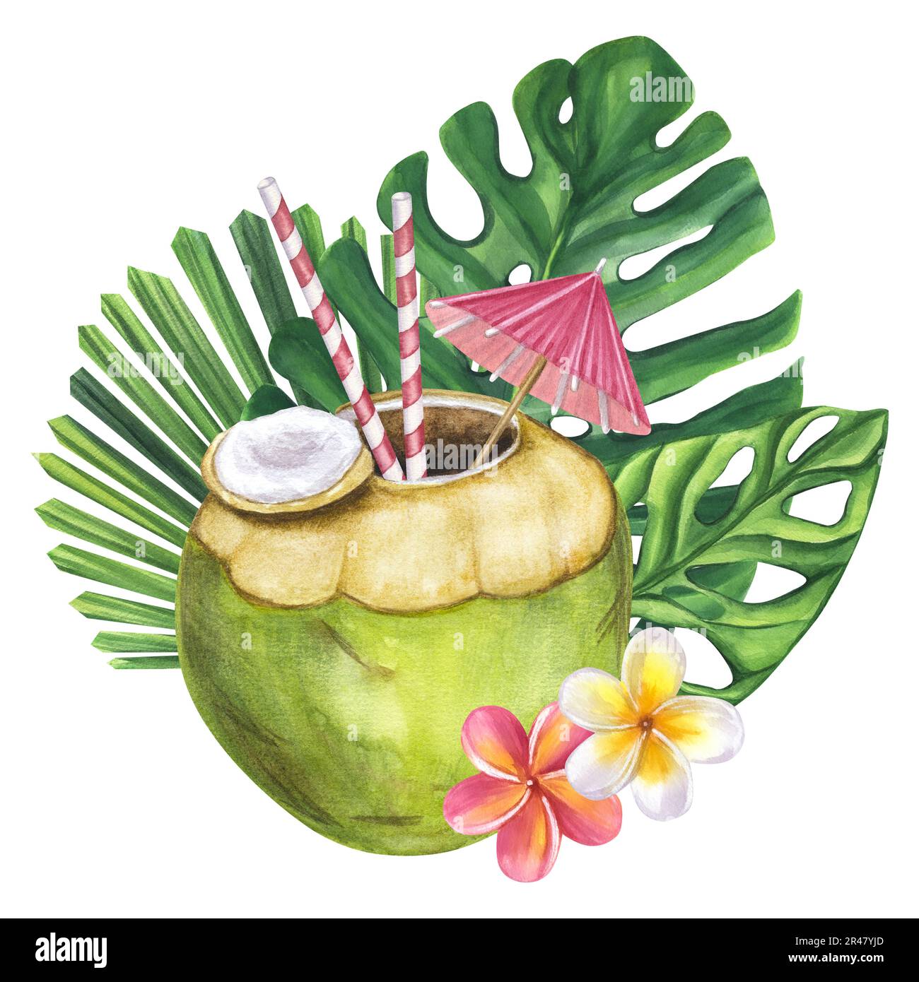 Cocktail vert noix de coco paille parapluie boisson de plage. Feuilles de Monstera, fleurs de frangipani. Illustration aquarelle dessinée à la main isolée sur fond blanc Banque D'Images
