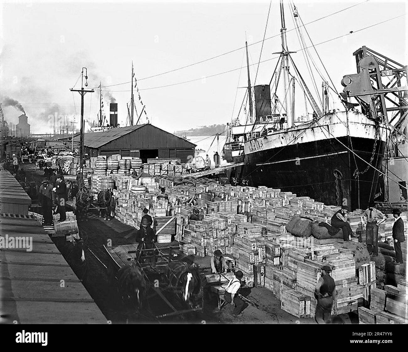 Déchargement S.S Durham City, Montréal, 1896 Banque D'Images