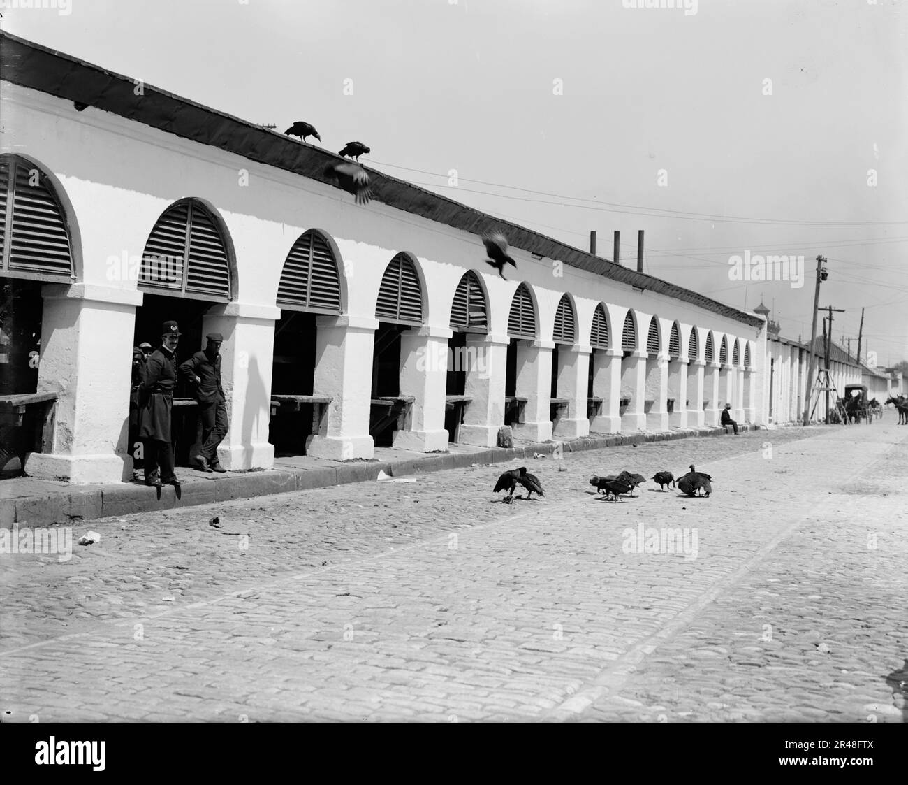 Marché central & amp ; buzzards, Charleston, S.C., entre 1900 et 1910. Banque D'Images