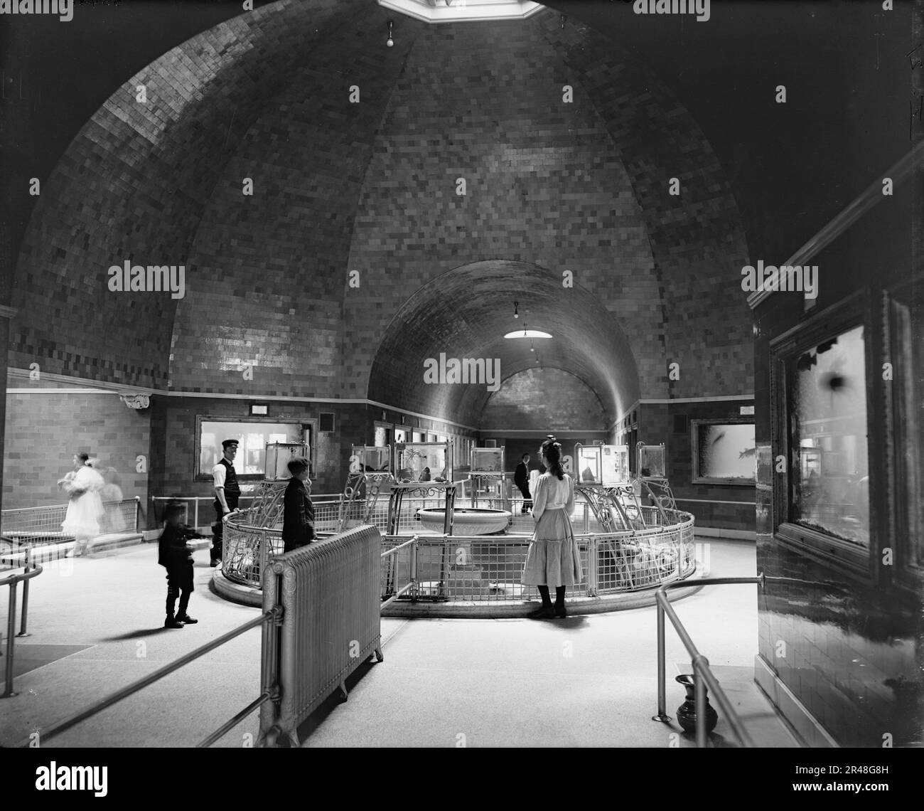 Aquarium, parc Belle Isle, intérieur, Detroit, Michigan, entre 1900 et 1910. Banque D'Images