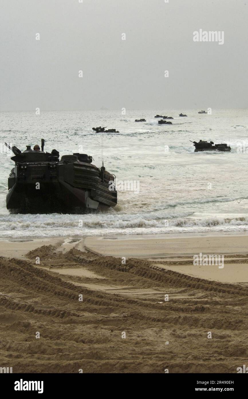 LES véhicules amphibies (AAV) de la US Navy 15 à bord de l'USS Duluth (LPD 6) viennent à terre pour de futures opérations Banque D'Images