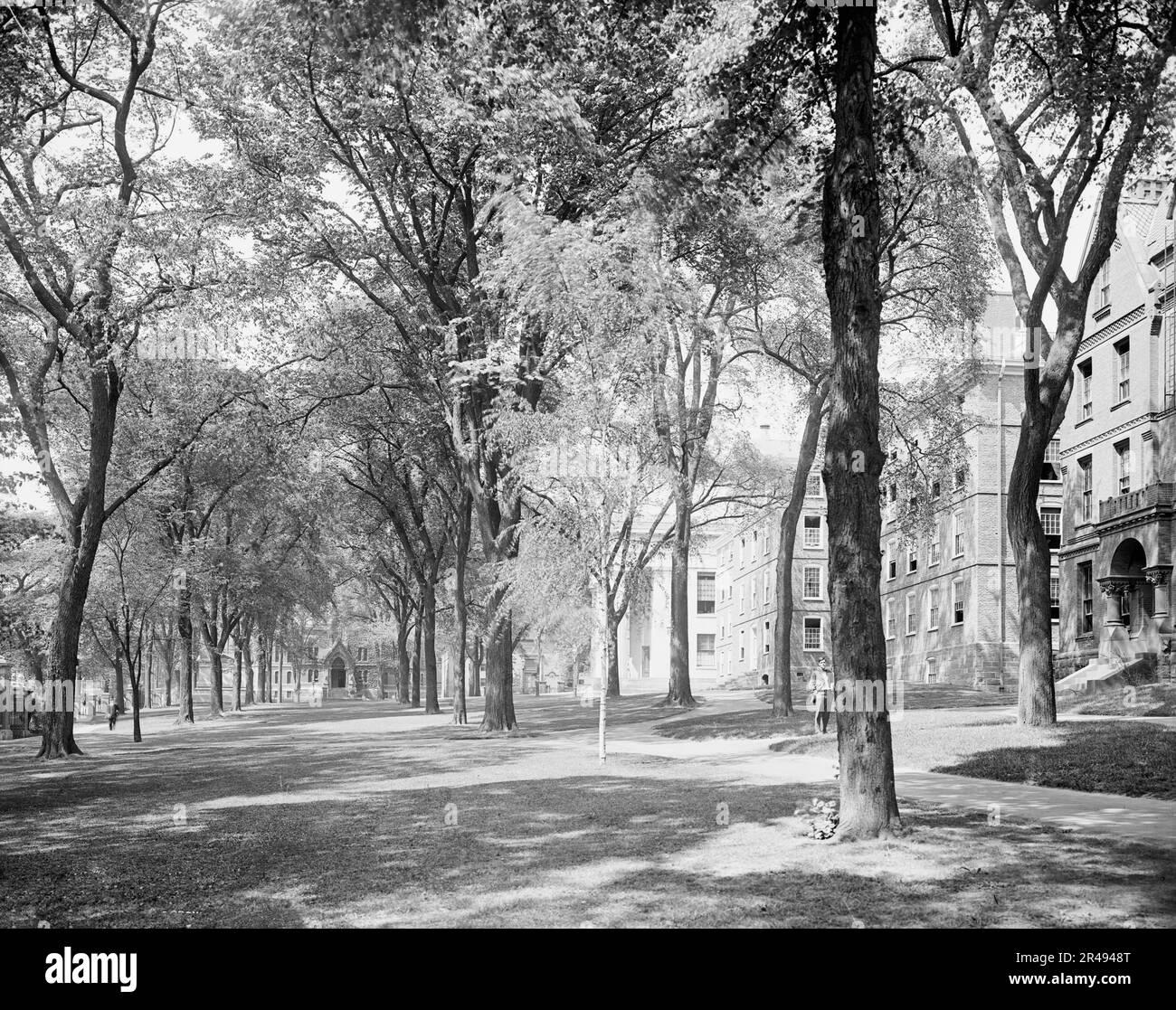 Campus en façade, Brown University, Providence, R.I., c1906. Banque D'Images