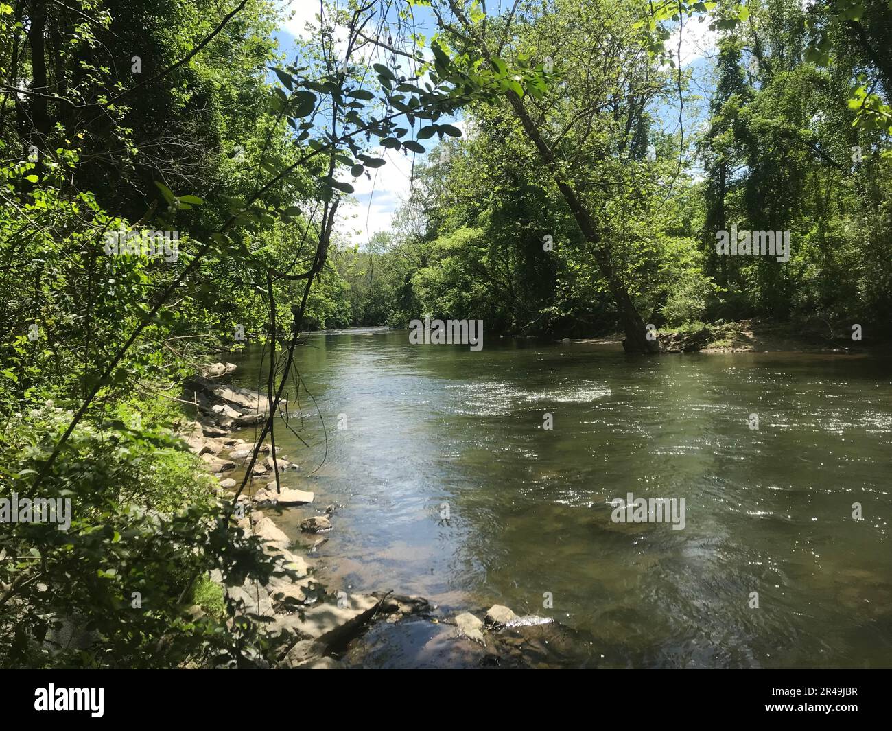 Une vue panoramique sur la rivière Patapsco entourée de végétation luxuriante Banque D'Images