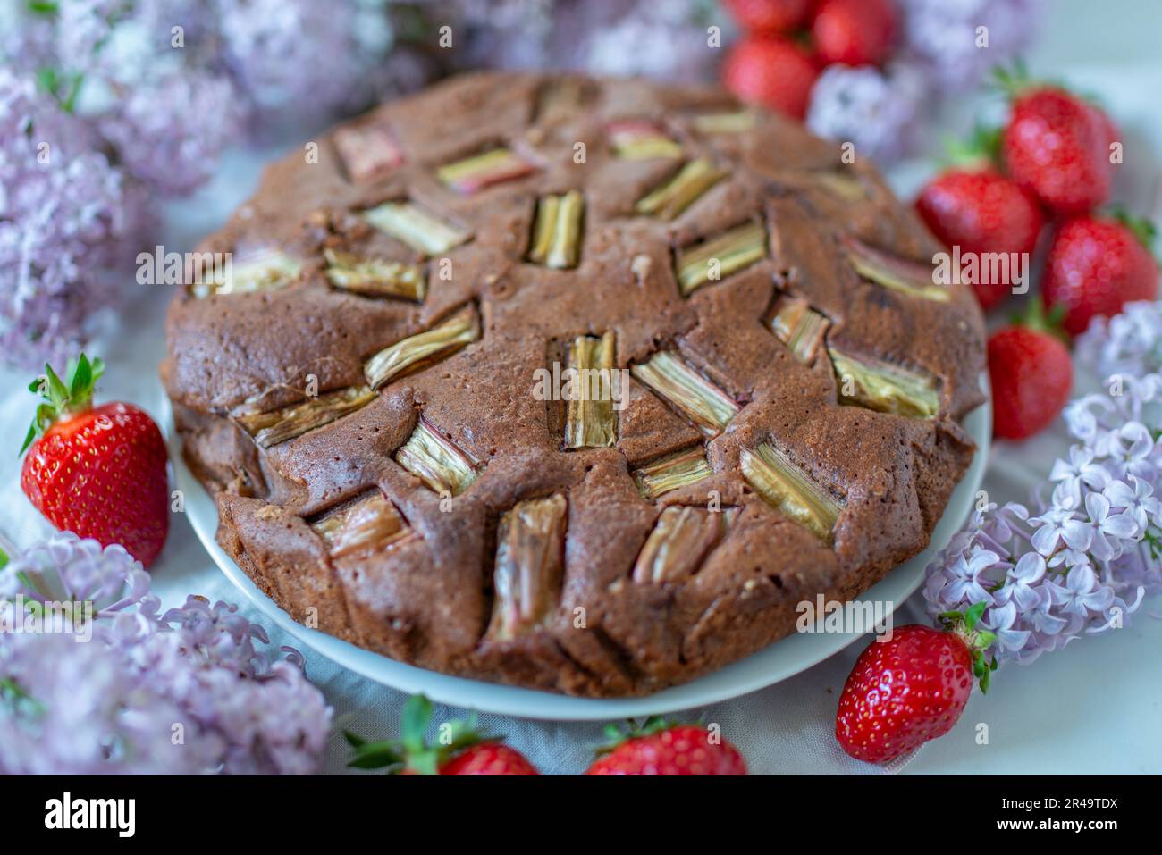 Gâteau au chocolat avec rhubarbe dans un plat de cuisson Banque D'Images