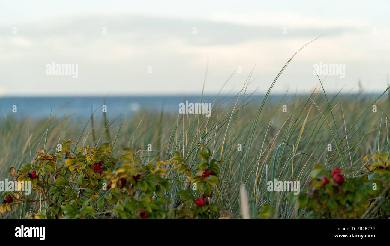 Un arrangement étonnant de fleurs fraîches et vibrantes et le feuillage situé au milieu de l'herbe verte luxuriante au bord d'un plan d'eau tranquille Banque D'Images