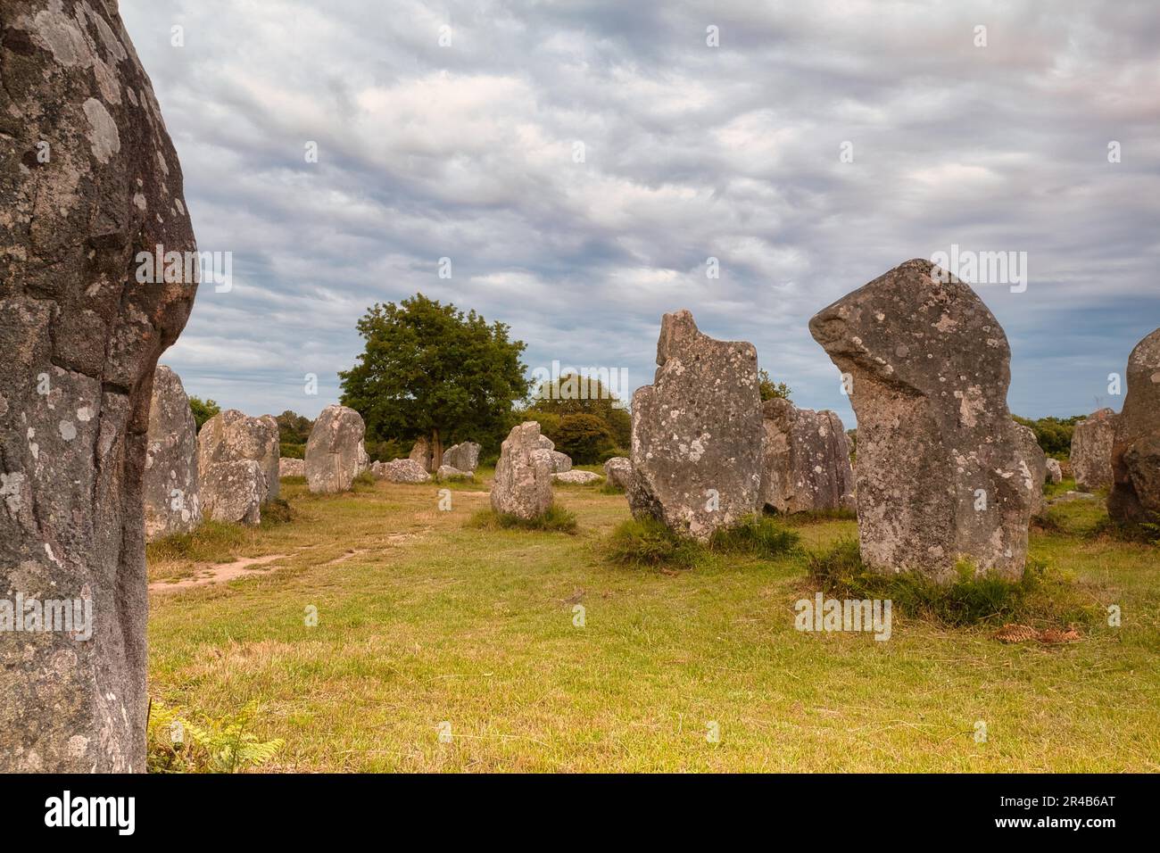 Rangées de pierres mégalithiques de Kerzerho, commune d'Erdeven, département du Morbihan, Bretagne, France Banque D'Images