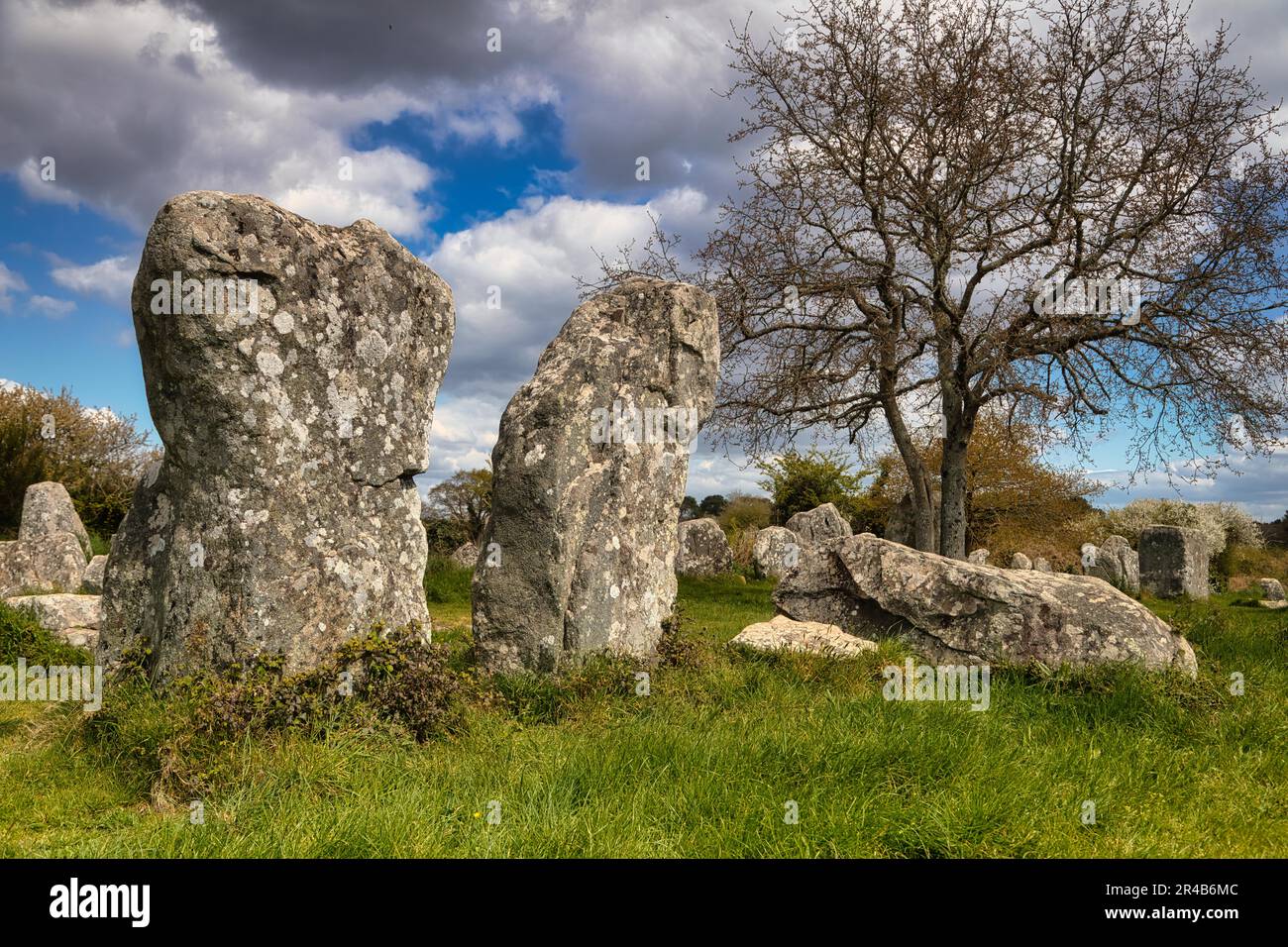 Rangées de pierres mégalithiques de Kerzerho, commune d'Erdeven, département du Morbihan, Bretagne, France Banque D'Images