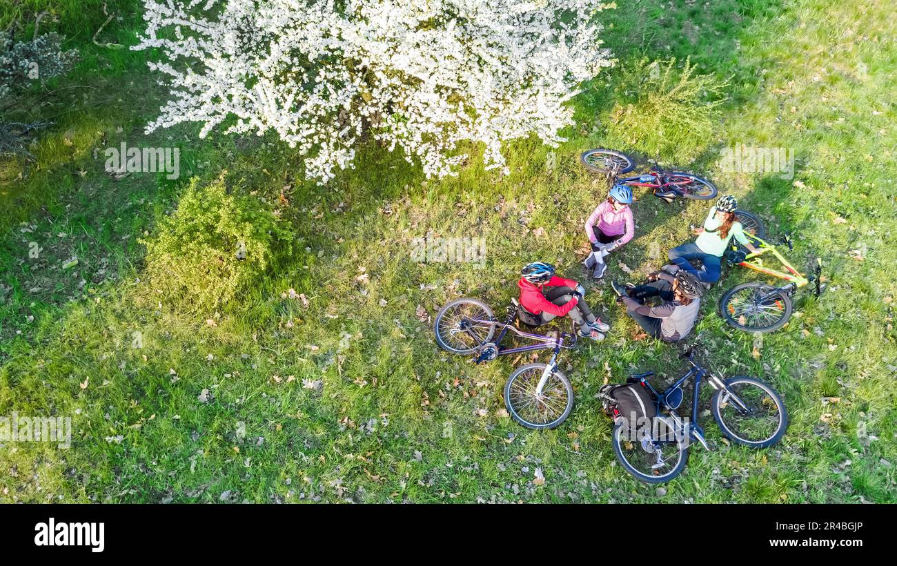Printemps famille vélo sur des vélos vue aérienne de drone d'en haut,  heureux parents actifs avec les enfants s'amusent et se détendre sur  l'herbe sous le printemps arbre de fleur Photo Stock -