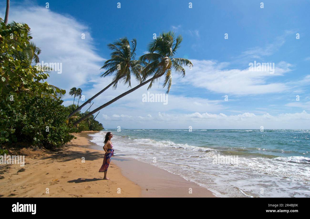 Femme sur la plage, Palmas de Mar, Porto Rico Banque D'Images