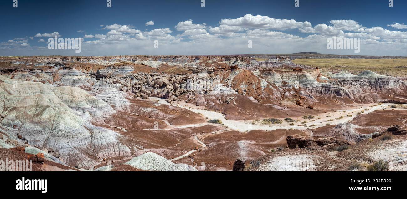 Vue panoramique sur Blue Mesa et les buttes multicolores du parc national de la forêt pétrifiée, Arizona, États-Unis Banque D'Images