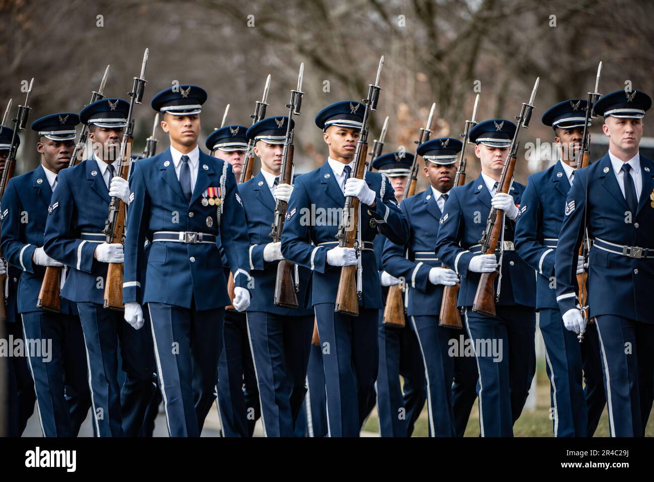 Emblèmes militaires vintage avec aigle tenant carbine barbu et fusils à