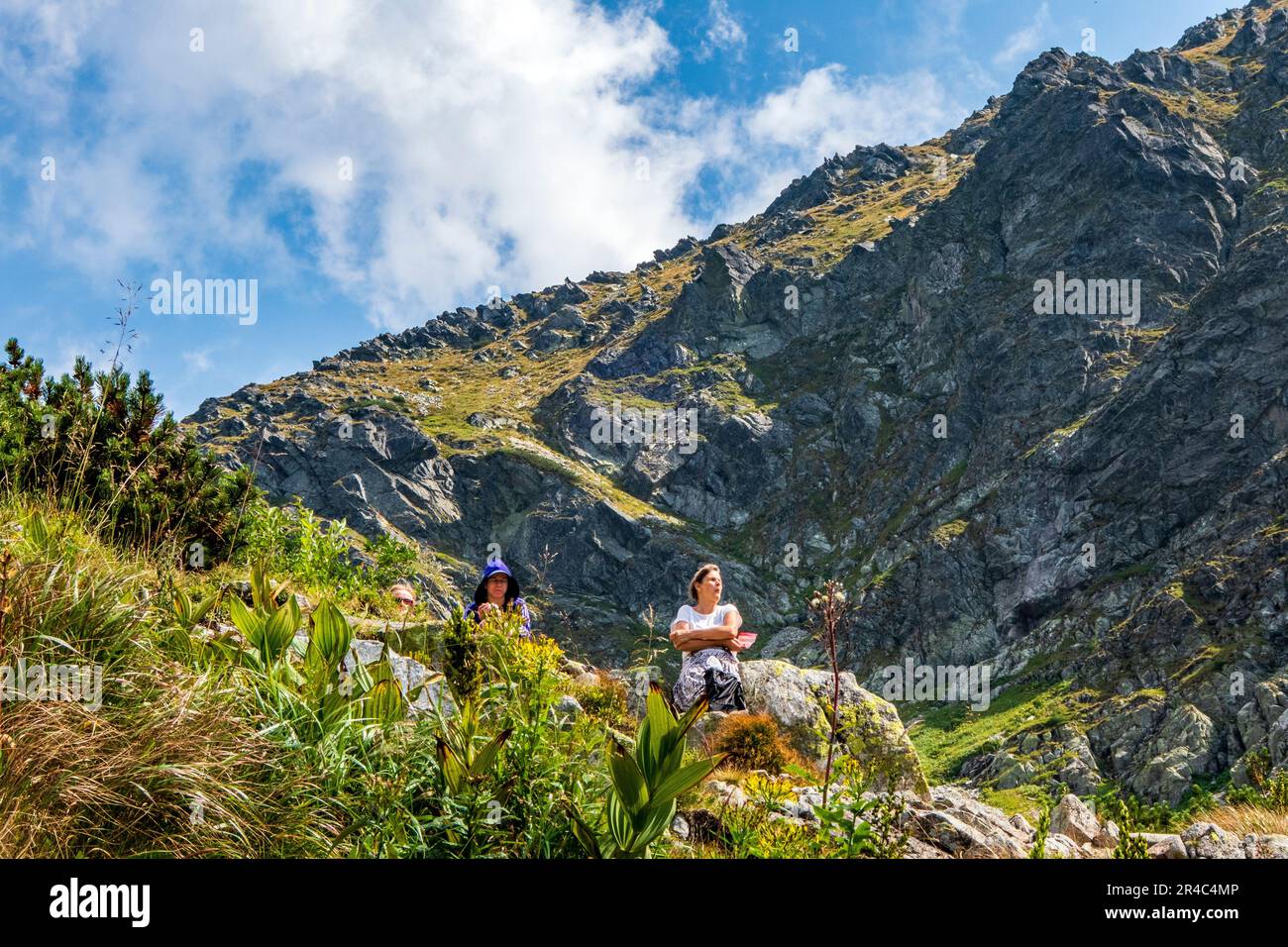 Un groupe de randonneurs se reposant sur une pente herbeuse dans les montagnes slovaques. Banque D'Images