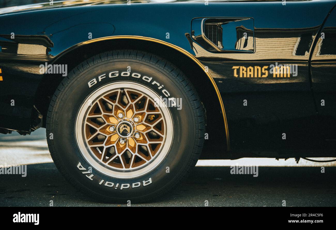Une voiture de muscle noire classique garée dans un parking, présentant son design vintage et ses lignes épurées Banque D'Images