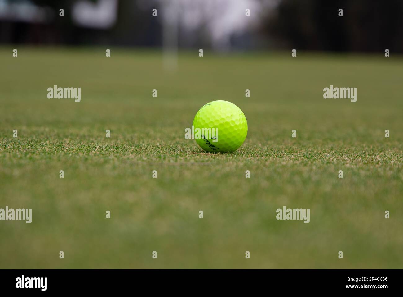 Une balle de tennis jaune isolée se trouve dans l'herbe verte luxuriante près d'un trou de golf lors d'une journée ensoleillée et lumineuse Banque D'Images Une balle de tennis jaune isolée se trouve dans l'herbe verte luxuriante près d'un trou de golf lors d'une journée ensoleillée et lumineuse Banque D'Images
