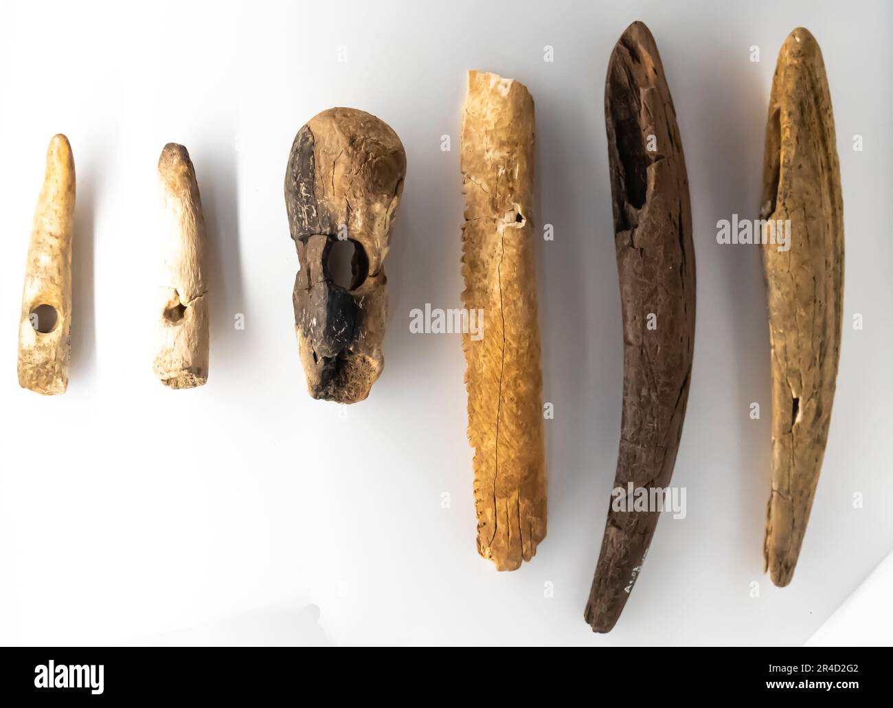 Flou Masis, outils néolithiques osseux. Marteau, pioche, scie, outils à buriner. 6e millénaire B.C. Aratashen . Banque D'Images