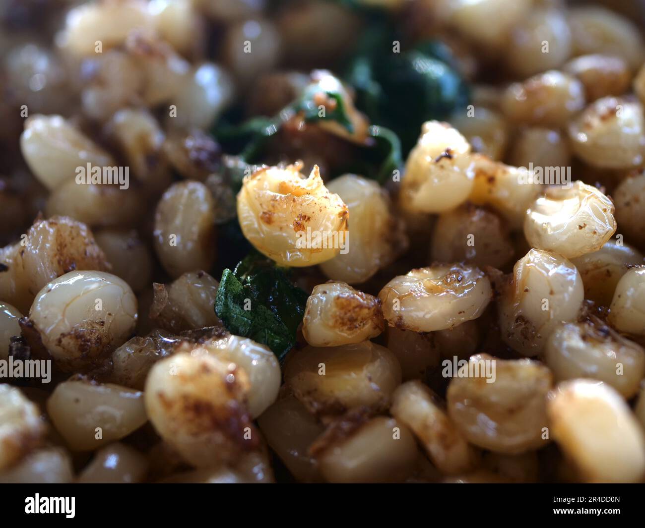 Jagung pulut ou maïs pulut est un aliment typique de l'est Nusa Tenggara fait à partir de maïs blanc frit mélangé avec du sel et des feuilles de basilic. Banque D'Images